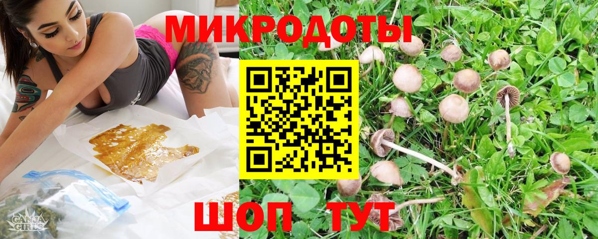 Псилоцибиновые грибы GOLDEN TEACHER  Вход с VPN  Жигулёвск 