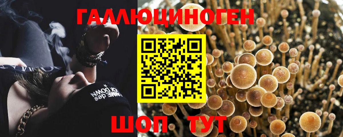 ГАШ  NBOMe  Бошки Шишки  Alpha PVP СОЛЬ   Меф МЯУ МЯУ  Вход с VPN  МДМА  Жигулёвск  ГАШ  COCAIN  МЕФ кристаллы 